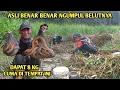 Lagu PANEN BELUT‼️ CUMA DI TEMPAT INI KITA DAPAT 8 KG BELUT BESAR SEMUA