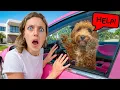 My DOG STUCK in TESLA will he be okay