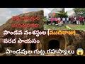 Download Lagu పాండవుల గుట్ట రహస్యాలు,కుల మత బేధంలేని గ్రామం, ఐక్యమత్యంతో ఒక్కటై చేసుకునే పండుగ, ఏ ఊరో చూద్దాం రండి