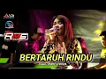 BERTARUH RINDU ( SITI KDI ) - Cover : PUPUT TIFISYA - NEW RMS MUSIC