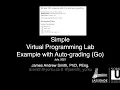 VPL auto-graded example with Python
