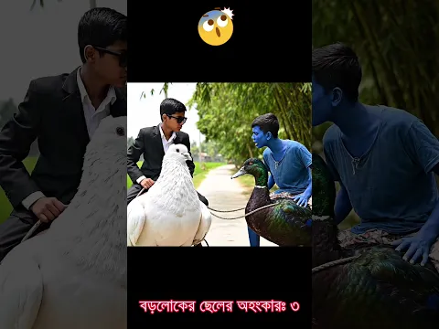 বড়লোকের ছেলের অহংকার বনাম ফকিন্নির জেদ 😭 ধনীর ছেলের কবুতর বনাম গরিবের ছেলের হাঁসের রেস। কে জিতবে?