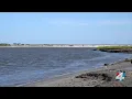 Planning to hit the water this weekend Duval red tide alerts highlight Fort George Kingsley area