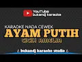 Download Lagu AYAM PUTIH KARAOKE - CICIH AMELIA | TARLING LIRIK TANPA VOKAL 2023