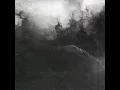 Half​-​Gramme Holiday - Brambles