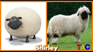 كرتون شون ذا شيب الشخصيات في الحياة الحقيقية 2017 Shaun The Chip Characters In Real Life 