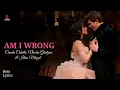 Camila Cabello, Nicolas Glaitzine, Idina Menzel, Cinderella Cast - Am I Wrong (Lyrics)