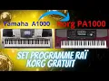 Lagu 👉Set Rai_Gratuit_avec le Son Rbab Amro piti_Programme Yamaha a1000 pour korg pa ربابة امرو _سيت كورج