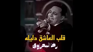 رضا البحراوي  قلب العاشق دليله أغاني جديده تريند تيك توك  دندنها