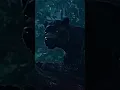 BAGHEERA