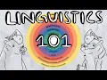 A Linguistics Guide for Beginners