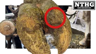 There’s a BIG NAIL inside there….