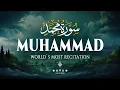 Surah Muhammad سورة محمد | Beautiful Peaceful Recitation to Soothe Your Heart | Al-Taqwa TV