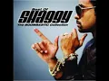 Mr. Boombastic - Shaggy