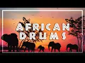 Download Lagu AFRICAN DRUM MUSIC • Tribal Beats • Shaman Dance • Unleash your Primal Self