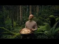 Nervous System Reset | 1 hour handpan meditation | Malte Marten