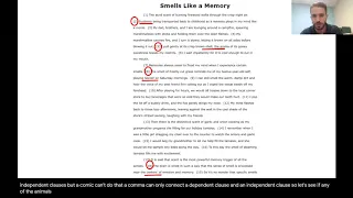 STAAR English II Reading and Multiple Choice Strategies