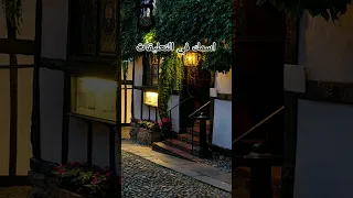 اسلام كابونجا اسمك ايه ولا اعرفك 