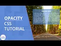Opacity in CSS CSS Transparent Background Color