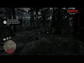 Red Dead Redemption 2 - Survivalist Challenge 7