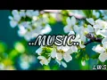 Humein Jab Se Mohabbat - Border (1997) | Lyrics Video | Pooja Bhatt | Akshay Khanna |