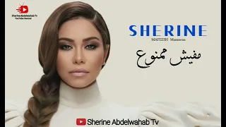 مفيش ممنوع  شيرين عبد الوهاب دندنها