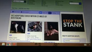 What is Petfinder com