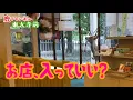 Download Lagu 奈良公園　自動ドアを突破する鹿ちゃんと店員さんのかけ引き、一部始終 😁  Nara Deer opens restaurant door and tries to enter!