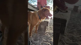 Chat -N-Chill Day 1 #boat #familytravels #sailingadventures