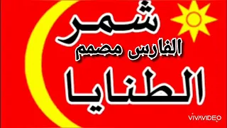 الطنايا شمر سناعيس   تسجيل دخول الطنايا شمر سناعيس دبكه شمر الطنايا دندنها