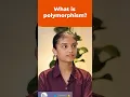 What is Polymorphism A Beginner s Guide