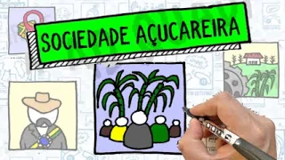 SOCIEDADE AÇUCAREIRA - América Portuguesa I Resumo Desenhado