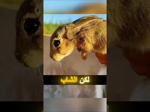 🐰 أنقذ الأرنب مرة… لكن ما فعله الأرنب بعدها أنقذ حياته! 😱❤️#shorts
