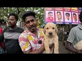 Download Lagu Chennai Broadway Pets Market - Part 1 | Dogs | Sunday 22062025 | Muthu's Atlas | Tamil |