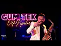 Download Lagu ♫ ORK.POPELER - GUM TEK 2023 (Official Video) ♫