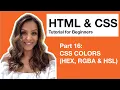 HTML CSS Tutorial for Beginners - 16