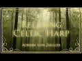 Download Lagu 1 Hour of Relaxing Celtic Harp Music