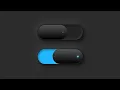 CSS Custom Radio Button UI Design Remake