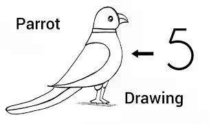 How to draw parrot drawing from number 5 Parrot Drawing Easy Parrot Drawing Easy Step By Step
