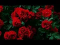 FKJ - Greener feat. Santana