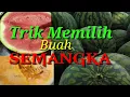 Lagu Trik cara memilih Buah SEMANGKA yang Tua dan Manis // ada Buktinya