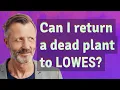 Can I return a dead plant to Lowes