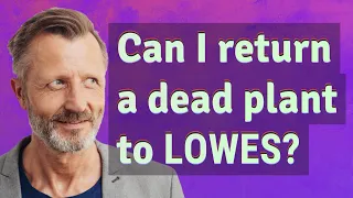 Can I return a dead plant to Lowes