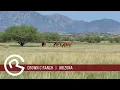 Arizona Land and Ranches for Sale - Crown C Ranch Mason Morse Ranch Company