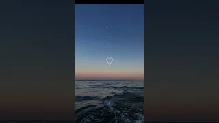 جمال الوجود بدون موسيقي  جمال الوجود بدون موسيقي