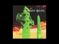 Download Lagu Ancient Spirits - Album Complet