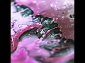 Download Lagu Linkin Park - The Emptiness Machine