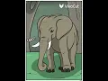 New Zoo Elephant and Orca Whale TF - Patricia and Tyler por Wallace 113 y Rex Equinox