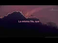 Mustard Service – Aerolíneas Mostaza // Sub. español