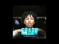 NBA YoungBoy - Shark (Slowed & Reverb)